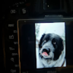 Meet your Posher, Gerda